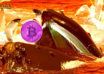 Đào coin – Cần bao nhiêu tiền để đẩy giá Bitcoin tăng 1%?
