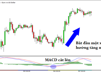 Kiến thức – Trung bình động hội tụ phân kỳ – MACD? Hướng dẫn ách giao dịch với MACD