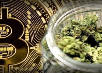 Tin tức coin – Công ty Blockchain hợp tác với ứng dụng dữ liệu CẦN SA để tạo dự án nghiên cứu