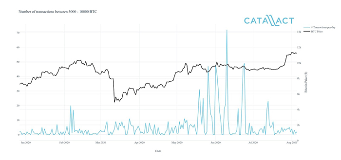 Số lượng giao dịch từ 5.000 đến 10.000 BTC đã tăng đáng kể trong suốt mùa hè củng cố giá của Bitcoin. Nguồn: Catallact