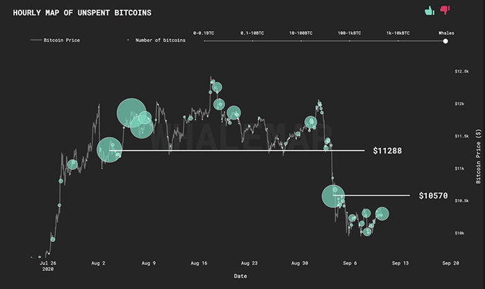 Các cụm cá voi Bitcoin được thấy ở mức $10,570 và $11,288. Nguồn: Whalemap