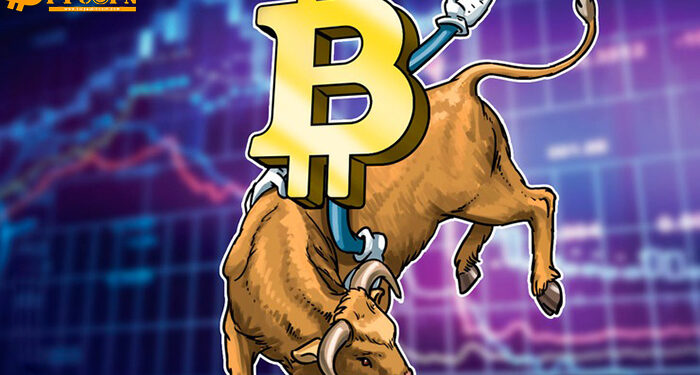 Đào coin – Sự thống trị của Bitcoin đạt mức cao nhất 1 năm giữa bối cảnh XRP bị bán tháo