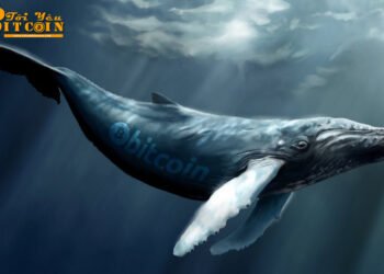 Đào coin – Một cá voi đang short Bitcoin với số tiền 100 triệu USD – Liệu các holder lớn có kỳ vọng một đợt giảm lớn?