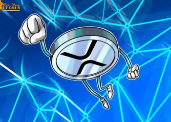 Đào coin – Giá XRP tăng vọt sau khi giám đốc cấp cao Ripple tuyên bố sự thống trị của Bitcoin “kết thúc”