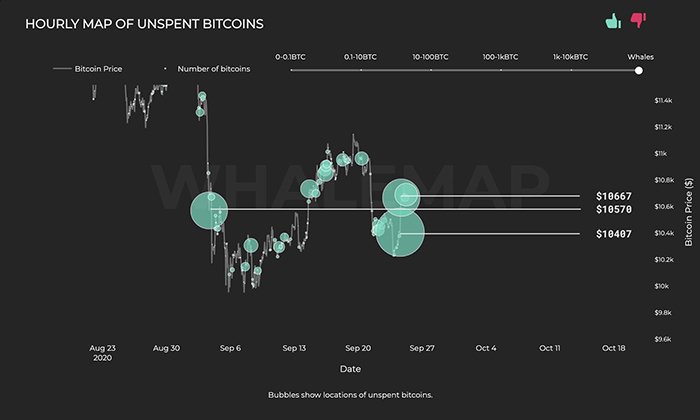 Bản đồ hàng giờ của các cụm cá voi Bitcoin. Nguồn: Whalemap