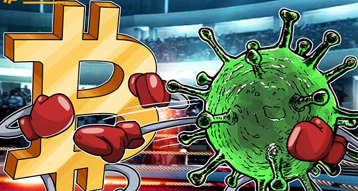 Đào coin – COVID-19 đã khiến phần lớn các nhà đầu tư Bitcoin nhỏ lẻ run sợ, nhưng là cơ hội tốt cho cá voi