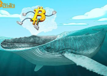 Đào coin – Bitcoin vẫn có khả năng điều chỉnh mạnh khi dòng tiền cá voi chảy vào sàn gia tăng