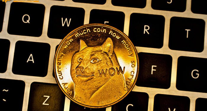 Đào coin – Giá Dogecoin (DOGE) nhảy vọt hơn 800% để đạt mức kỷ lục mới