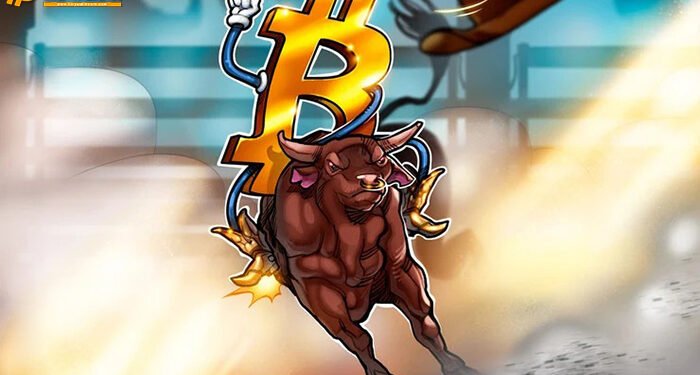 Đào coin – Giá Bitcoin tiếp tục đạt đỉnh mới trên 22.000 USD, cá voi vẫn chưa muốn “chốt lời”