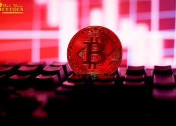 Đào coin – Ví Bitcoin ‘giàu thứ 4 thế giới’ vừa chuyển gần 1 tỷ USD sau nhiều năm không đụng tới
