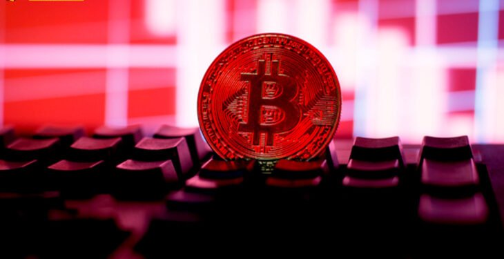 Đào coin – Ví Bitcoin ‘giàu thứ 4 thế giới’ vừa chuyển gần 1 tỷ USD sau nhiều năm không đụng tới
