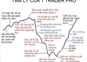 Kiến thức – Bài 21: Tâm lý Trading , tâm lý đầu tư và Cách kết hợp các công cụ trong trading, cách kiểm soát tâm lý khi trade