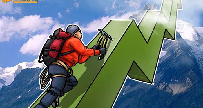 Đào coin – AAVE, YFI và Elrond tăng vọt khi giá Bitcoin vượt trên 19.300 USD