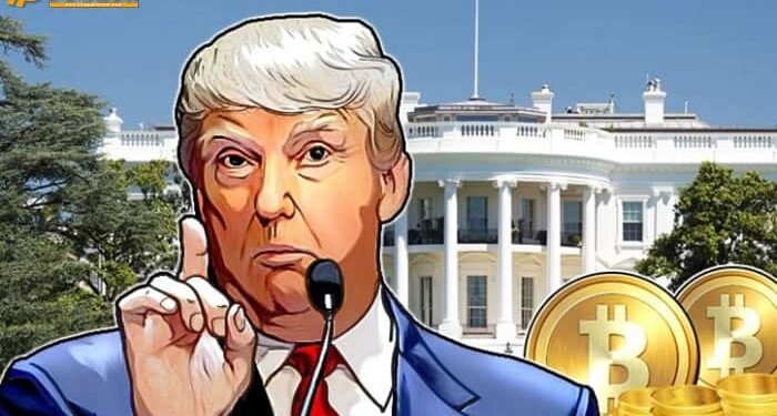 Đào coin – Giá Bitcoin giảm khi Tổng thống Trump tuyên bố ‘đã thắng’, tố ‘có gian lận’