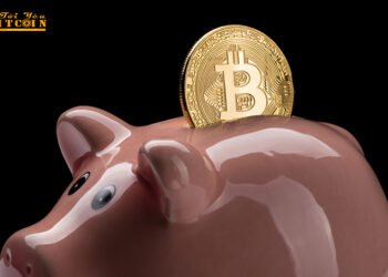 Đào coin – Nhà phân tích lý giải tại sao ông lại mua Bitcoin ở mức $8.500 – $8.600