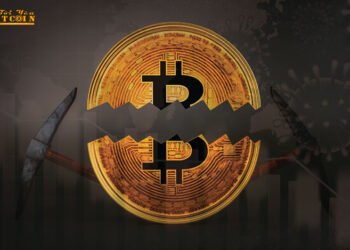 Đào coin – Forbes: Halving lần 3 sẽ là thử nghiệm lớn nhất của Bitcoin