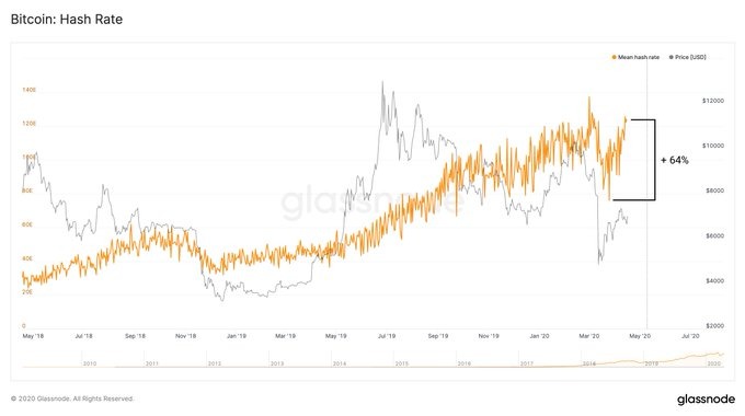 Biểu đồ hash rate Bitcoin. Nguồn: Glassnode