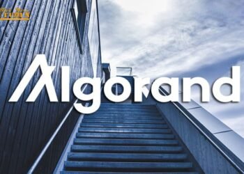 Đào coin – Giá Algorand tăng vọt 30% sau khi Coinbase.com bất ngờ niêm yết