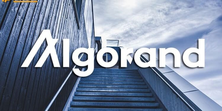 Đào coin – Giá Algorand tăng vọt 30% sau khi Coinbase.com bất ngờ niêm yết