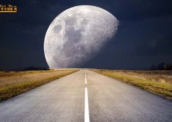 Đào coin – Giá Bitcoin có thể đạt $330k và tổng vốn hóa thị trường crypto chạm mốc 10 nghìn tỷ USD vào năm 2023?