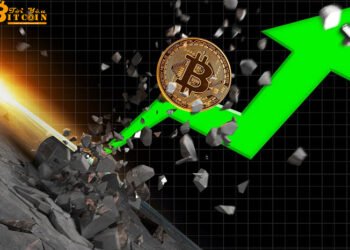 Đào coin – Gã khổng lồ Fidelity tin tưởng mô hình dự báo Bitcoin tăng lên 1 triệu USD