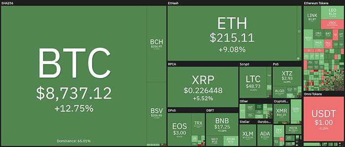Biểu đồ giá tiền điện tử hàng ngày. Nguồn: Coin360