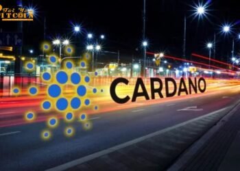 Đào coin – Cardano tăng 160% kể từ đầu năm, top 10 coin lớn nhất 2021 gây nhiều bất ngờ