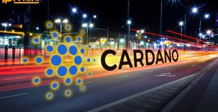 Đào coin – Cardano tăng 160% kể từ đầu năm, top 10 coin lớn nhất 2021 gây nhiều bất ngờ
