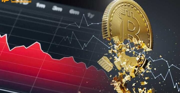 Đào coin – Đợt tăng giá gần đây của Bitcoin chỉ là một “cú nảy mèo chết”, BTC sẽ còn rớt về $2.000