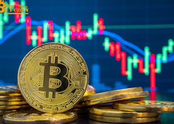 Đào coin – Mô hình mới này có thể dự đoán đáy Bitcoin với độ chính xác đáng kinh ngạc