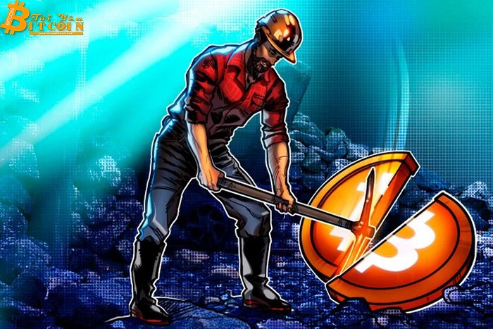 Nhà phân tích của Bloomberg: Bitcoin halving sẽ gây thất vọng