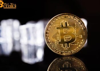 Đào coin – Liệu Bitcoin có đạt 20.000 USD theo fractal tăng giá từ năm 2019?