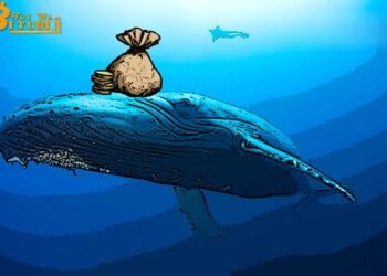 Đào coin – Cá voi Bitcoin dịch chuyển 2,2 tỷ USD giá trị BTC chỉ trong một giờ