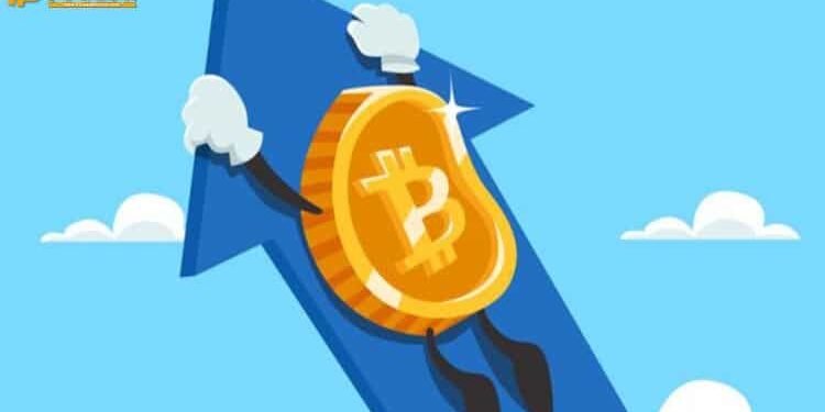 Đào coin – Giá Bitcoin có thể đạt $14.000 đến $20.000 trong đợt halving tiếp theo