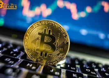Đào coin – Bitcoin có thể tăng thêm 30% lên mức $11.500 vào giữa tháng 2 năm 2020