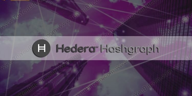 Đào coin – Hedera Hashgraph là gì? Tạo ví và Mua bán đồng tiền HBAR Coin ở đâu? Có nên đầu tư Hedera Hashgraph không?