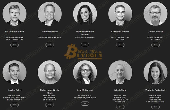 Hedera Team
