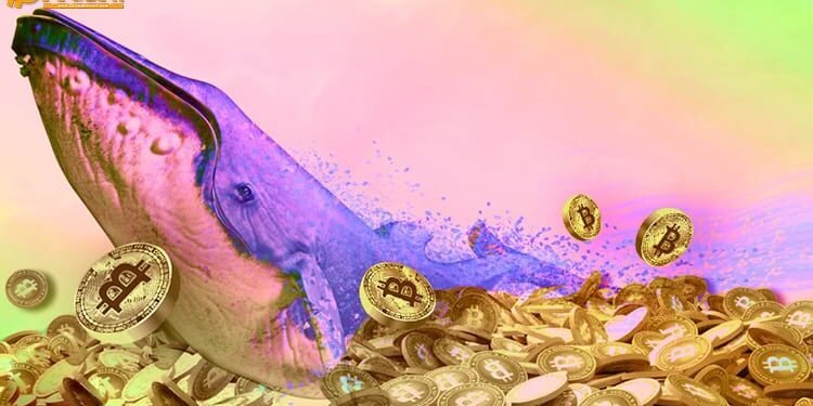 Đào coin – 10 tỷ USD đổ vào thị trường sau đợt bull run cuối tuần, Bitcoin vẫn đang trong xu hướng tăng giá?