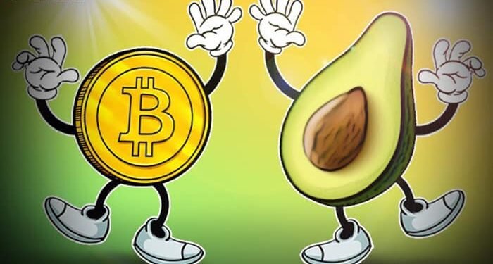 Đào coin – Giá Bitcoin và giá Bơ có mối tương quan đến mức đáng kinh ngạc
