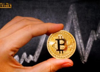 Đào coin – Giá Bitcoin giữ mức $7.000 khi các nhà phân tích đưa ra dự đoán trái chiều