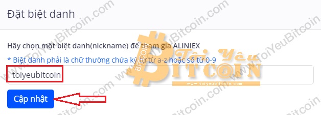 Cách đăng ký tạo tài khoản Aliniex. Ảnh 3