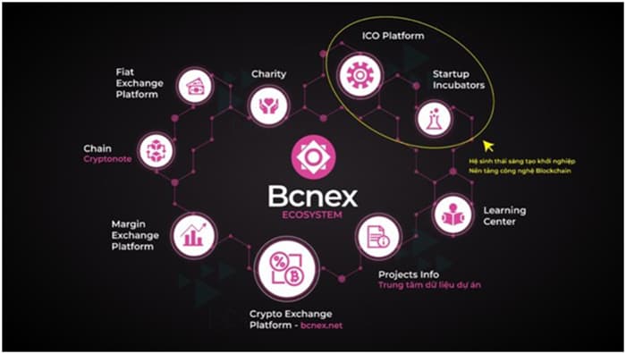 Hệ sinh thái của Bcnex