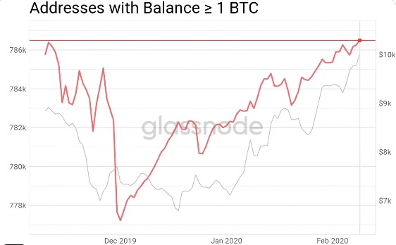 Lượng địa chỉ Bitcoin hold trên 1 triệu BTC. Nguồn: Glassnode