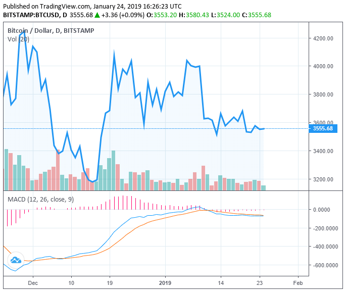 Giá Bitcoin. Nguồn: TradingView