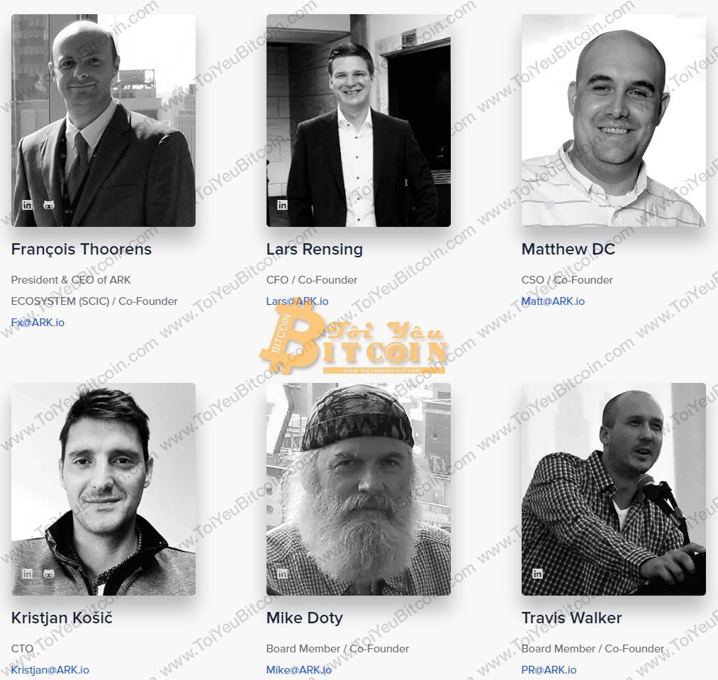 Ark Team