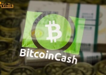 Đào coin – Hơn 50% số lệnh giao dịch Bitcoin Cash đến từ 1 địa chỉ ví duy nhất?