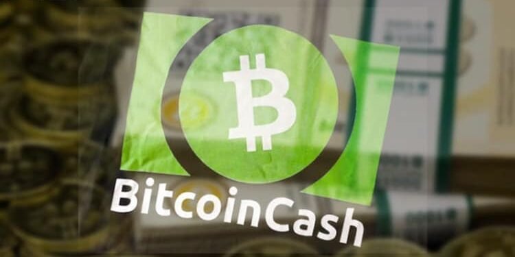 Đào coin – Hơn 50% số lệnh giao dịch Bitcoin Cash đến từ 1 địa chỉ ví duy nhất?