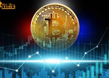Đào coin – Từ giờ giá Bitcoin chỉ có thể đi lên và một tương lai màu hồng cho Hodler?