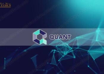 Đào coin – Quant là gì? Tạo ví và Mua bán đồng tiền QNT Coin ở đâu? Có nên đầu tư Quant coin không?