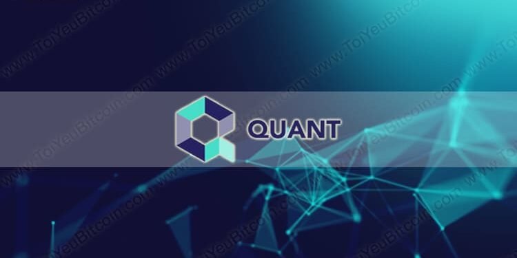 Đào coin – Quant là gì? Tạo ví và Mua bán đồng tiền QNT Coin ở đâu? Có nên đầu tư Quant coin không?